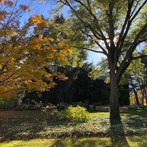 Meet your Posher, Yvonne